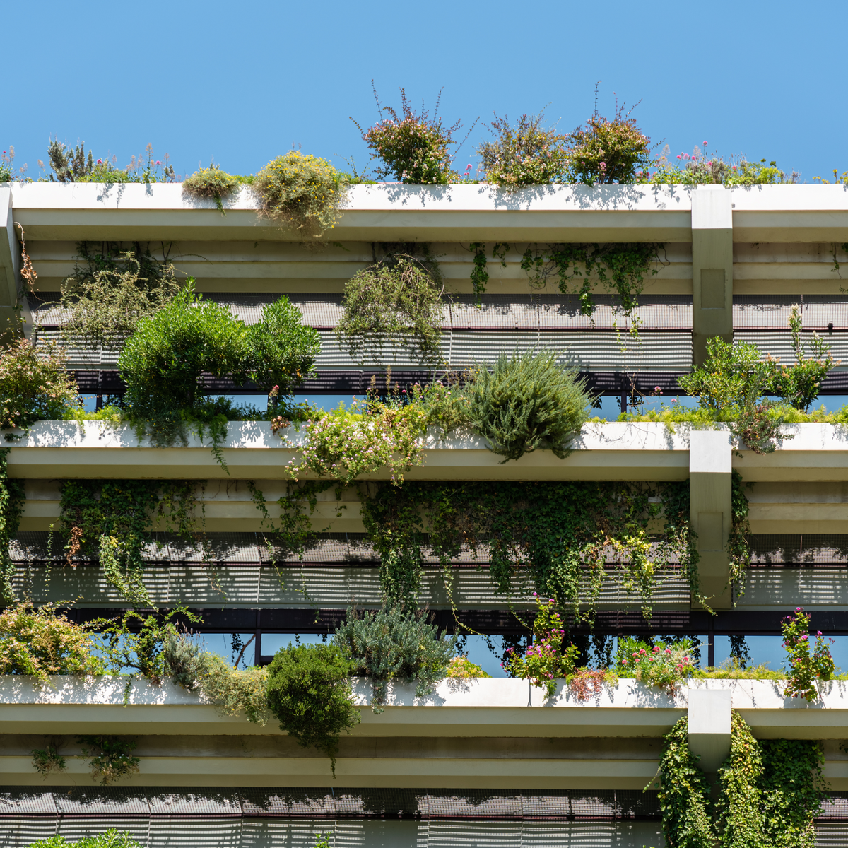 What is Sustainable Architecture? – SAK Co.