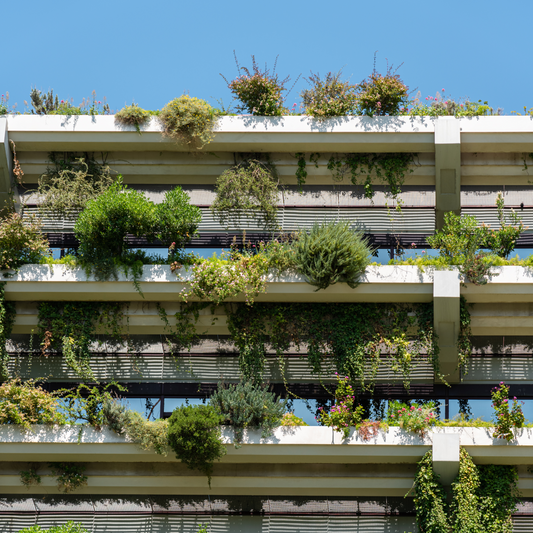 What is Sustainable Architecture?